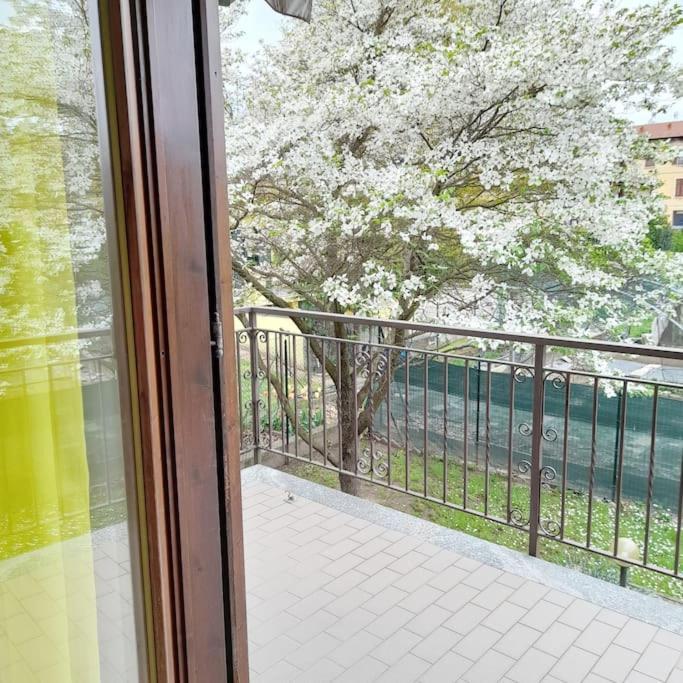 Il Vecchio Kiwi - House With Private Garden Villa Oleggio Castello Exterior photo