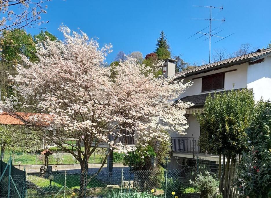 Il Vecchio Kiwi - House With Private Garden Villa Oleggio Castello Exterior photo